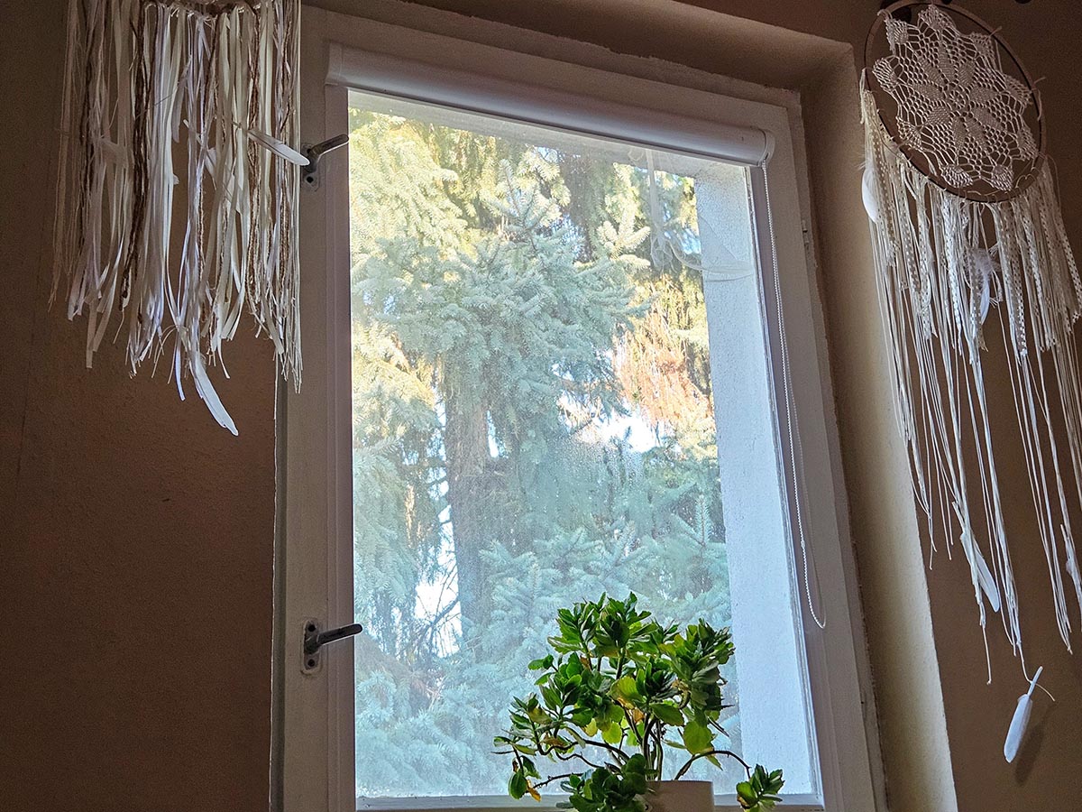 20251028-zsurnal-001