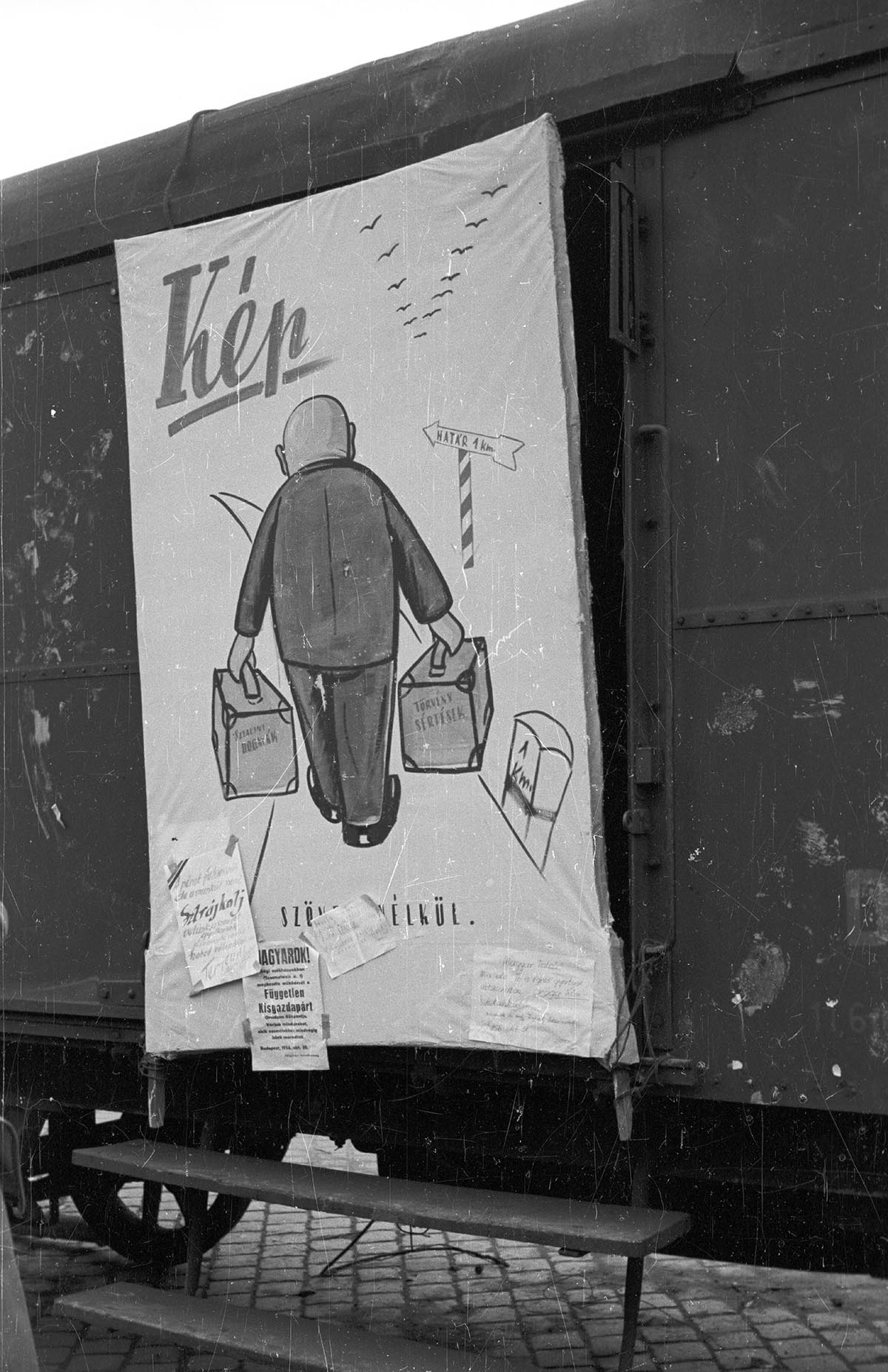 20251029-zsurnal-001