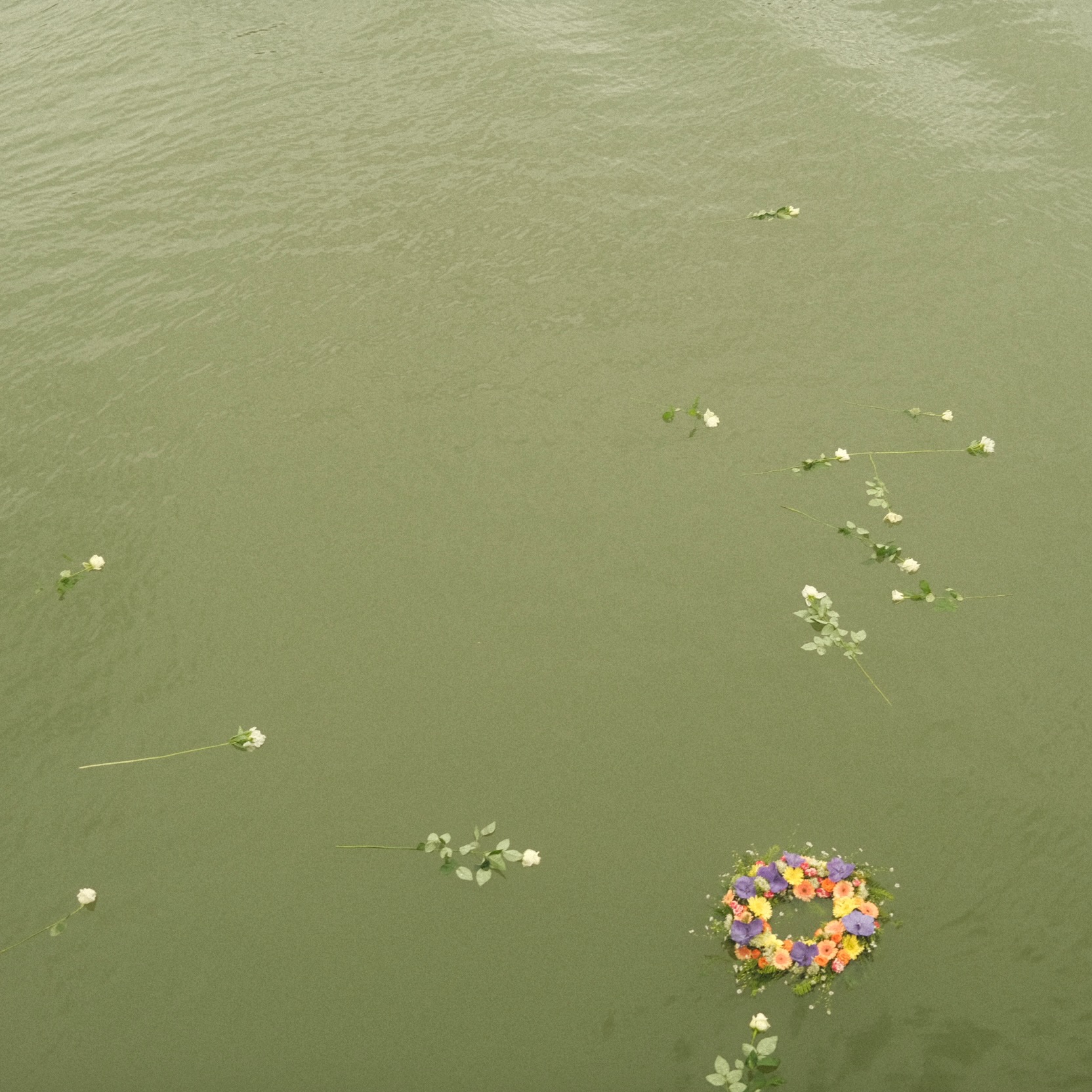 20251117-zsurnal-001