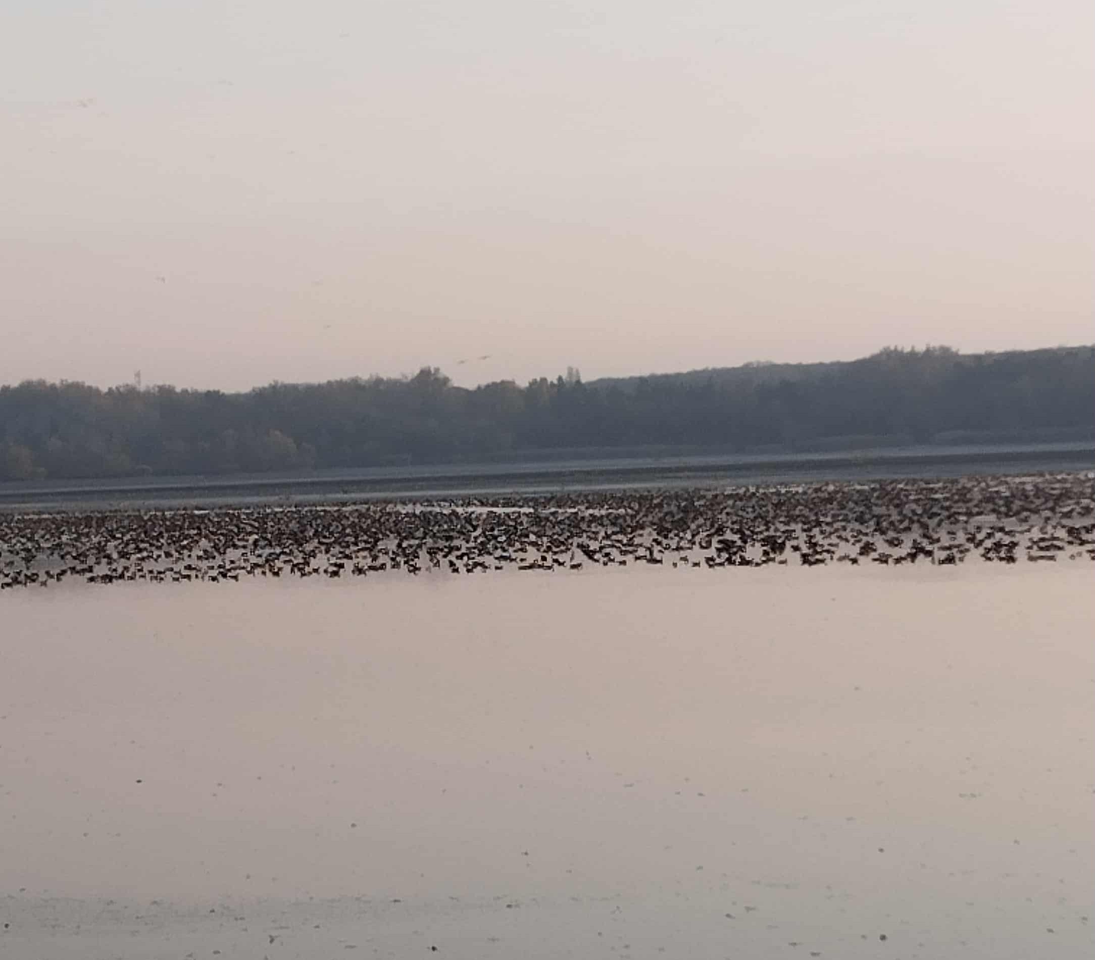 20251208-zsurnal-001