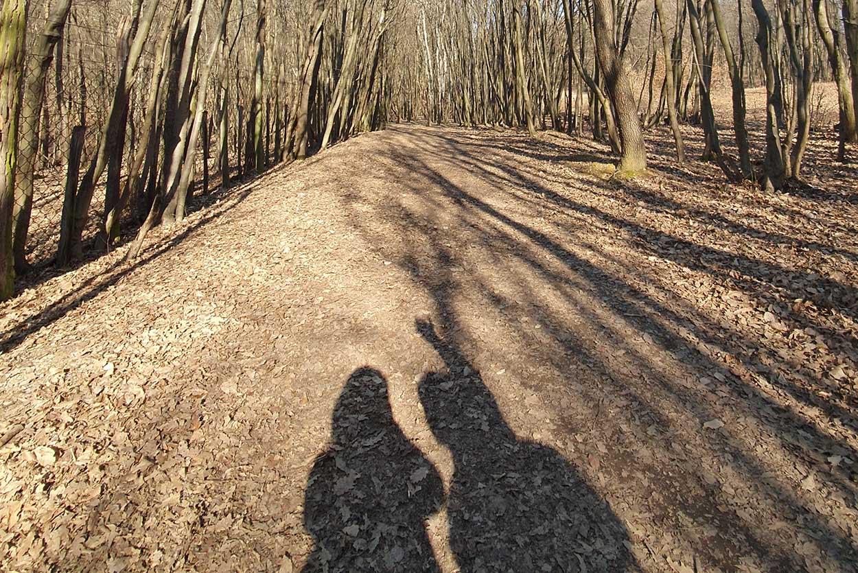 20260106-zsurnal-001