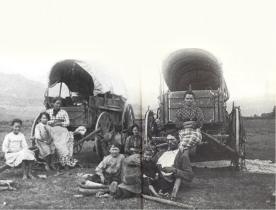 20260825-zold-001