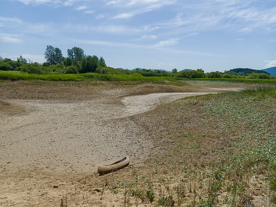 20260919-zold-001