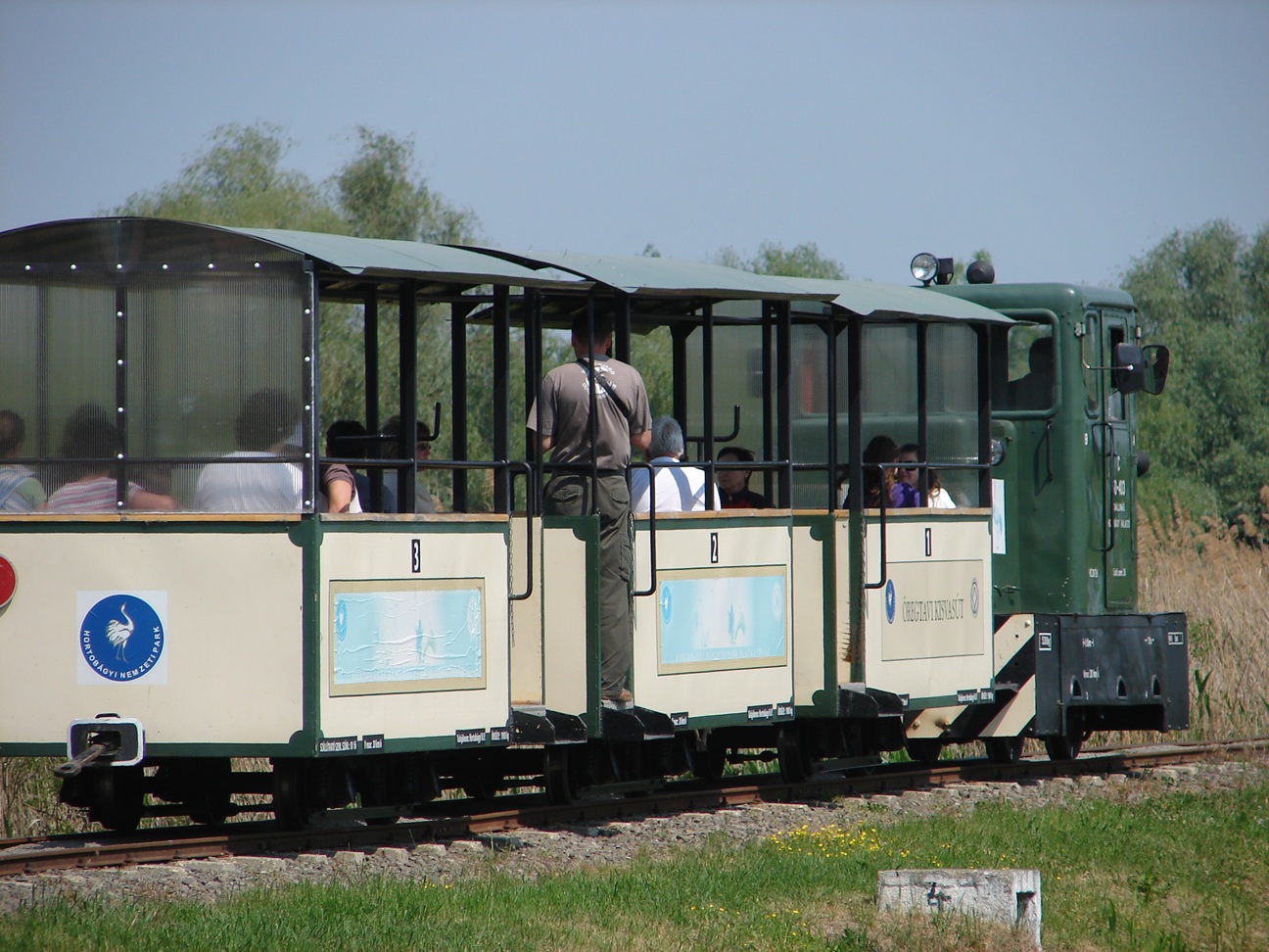 20261003-zold-004